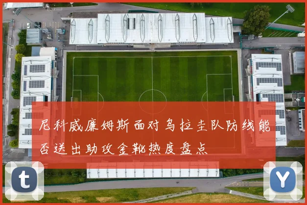 尼科威廉姆斯面对乌拉圭队防线能否送出助攻金靴热度盘点