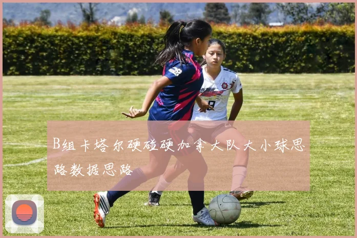B组卡塔尔硬碰硬加拿大队大小球思路数据思路
